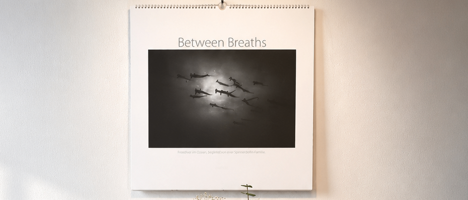 Eine weiße Kommode mit drei Schubladen und einem Tablett mit Blumen darauf. Über der Kommode ist ein gerahmtes Foto mit dem Titel 'Between Breaths' an der Wand befestigt.