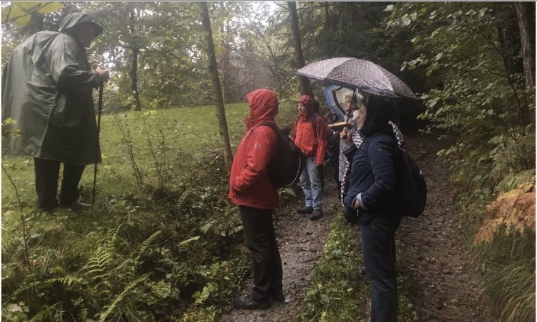 Coat, Adult, Male, Man, Person, Walking, Backpack, Shoe, Hat, Glove