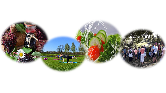 v1_migrated_image_81128649