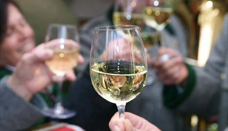 Glass, Alcohol, Beverage, Liquor, Wine, Wine Glass, Adult, Female, Person, Woman