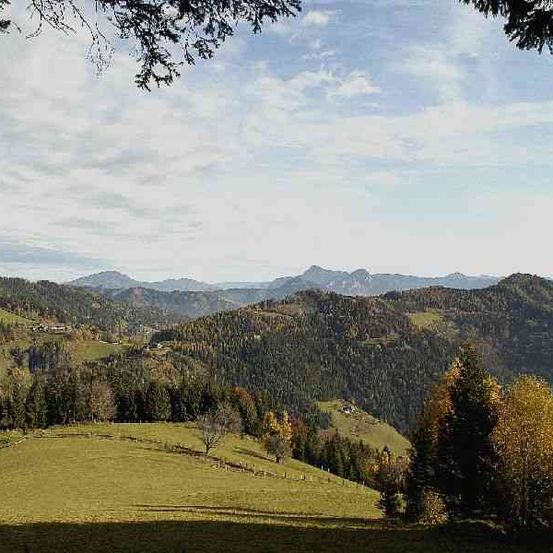 Bild enthält, Slope, Nature, Outdoors, Tree, Vegetation, Wilderness, Woodland, Countryside, Scenery, Peak