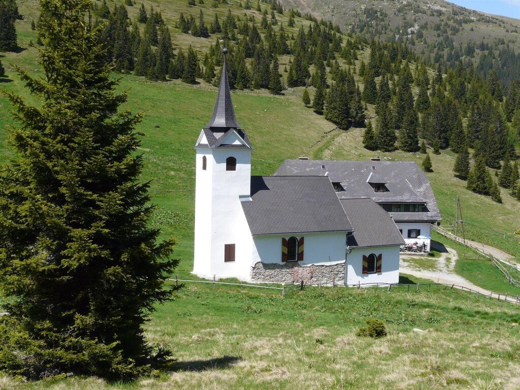 Eine kleine weiße Kirche mit grauem Dach und einem Kirchturm steht auf einer grasbewachsenen Wiese mit Kiefern im Hintergrund.