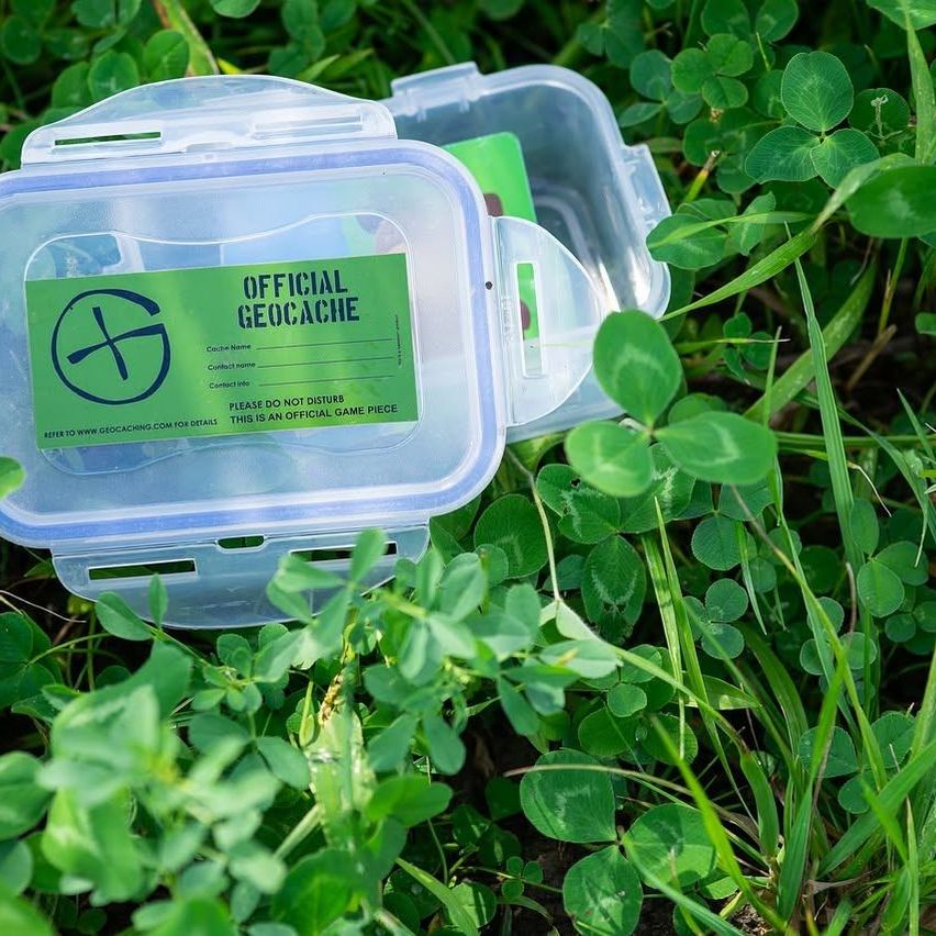 A clear plastic container with a green label reading 'Official Geocache' lies on a grassy field with clovers.