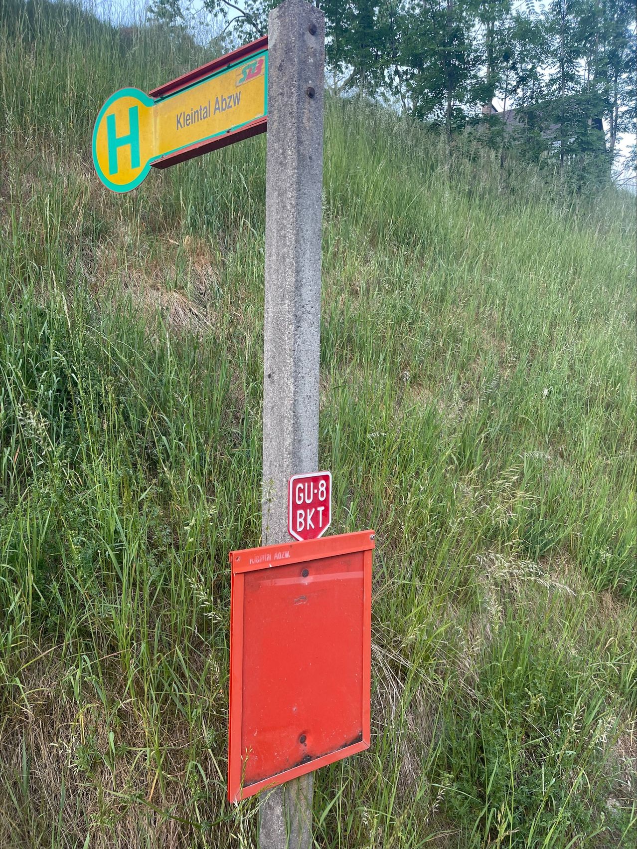 Ein Schild mit 'H' und 'Kleintal Abzweigung' steht neben einem Pfahl. Darunter steht ein rotes Schild mit 'GU-8 BKT'. Hohes Gras umgibt die Szene.