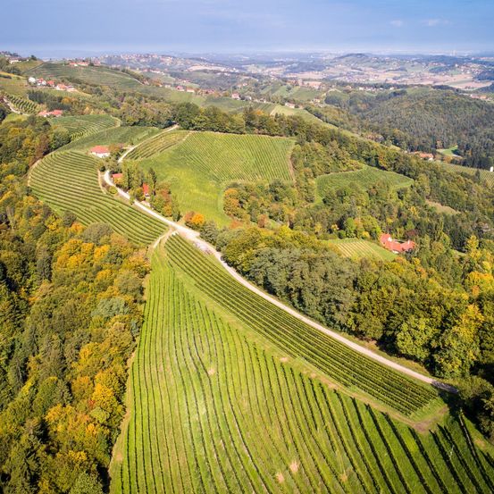 Bild enthält, Outdoors, Nature, Countryside, Land, Vegetation, Woodland, Rural, Aerial View, Farm, Building