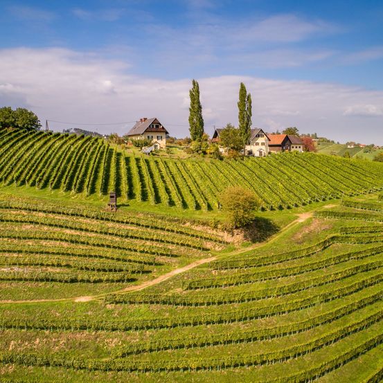 Bild enthält, Nature, Outdoors, Countryside, Rural, Farm, Aerial View