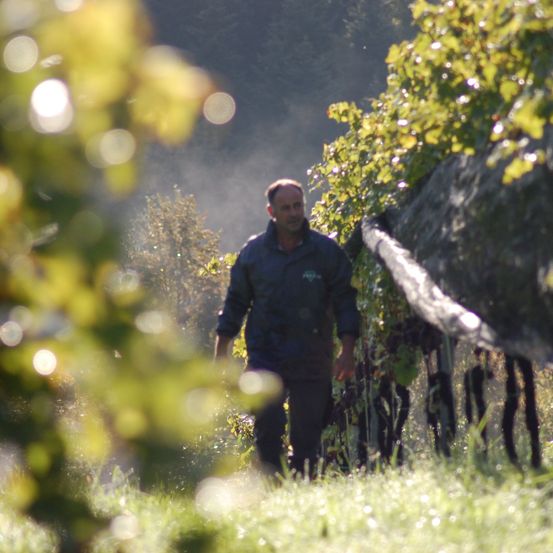 Bild enthält, Nature, Outdoors, Countryside, Rural, Adult, Male, Man, Person, Farm, Garden