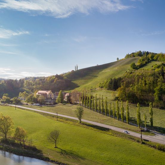 Bild enthält, Nature, Outdoors, Scenery, Field, Grassland, Slope, Grass, Countryside, Hill, Fir