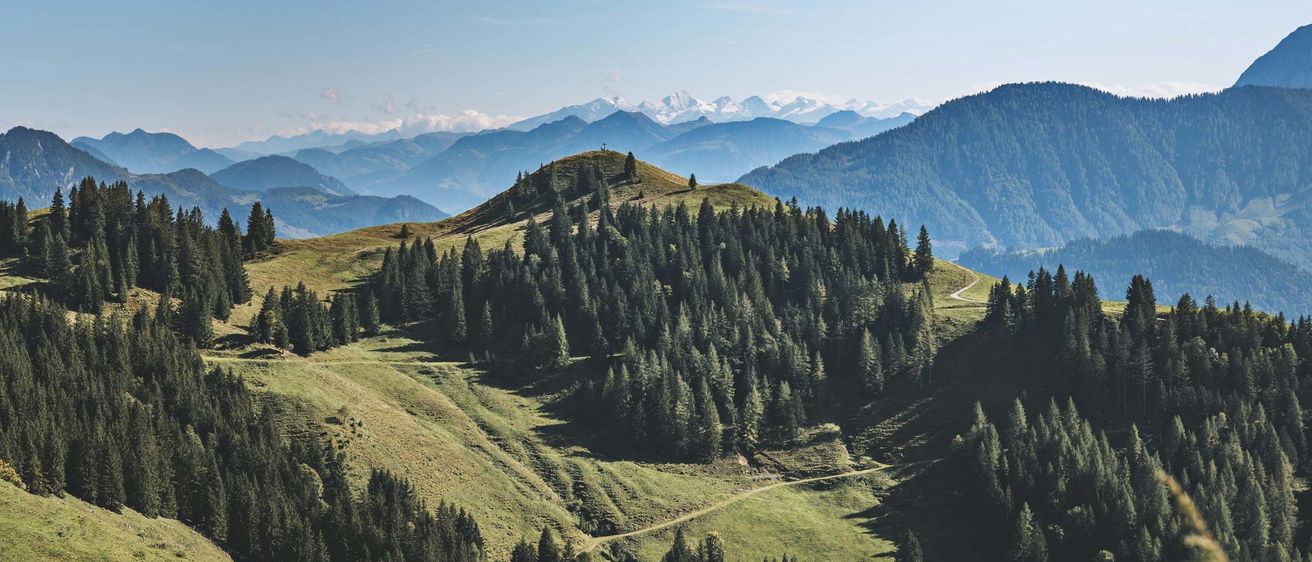 Ein Panoramablick auf eine bergige Landschaft mit dichtem Wald an einem sonnigen Tag.