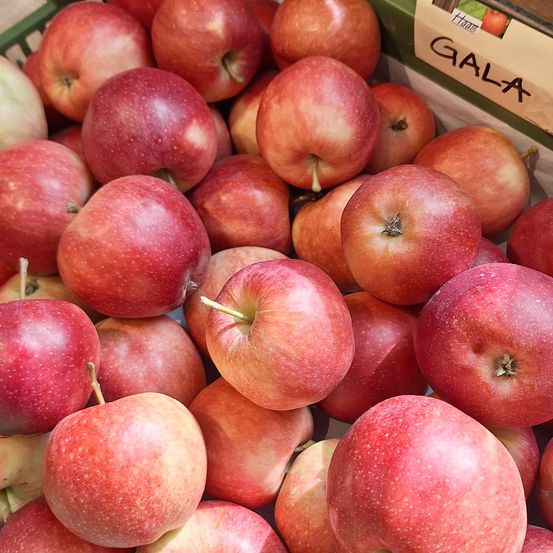Eine Box voller roter Gala-Äpfel mit einigen gelben, eng gepackt.