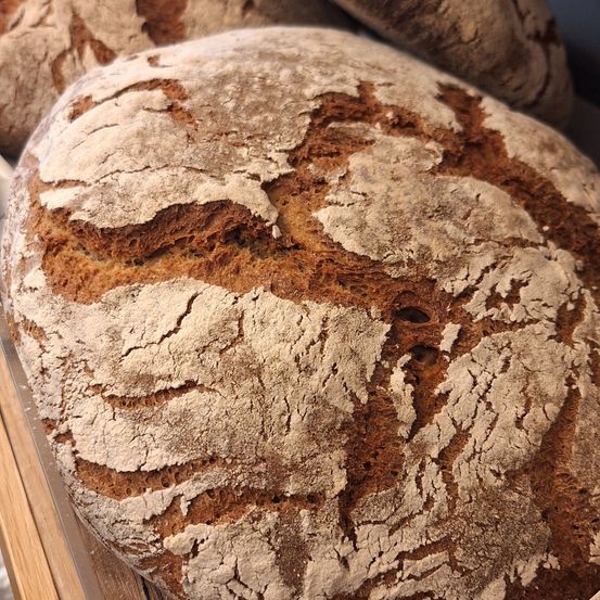 Ein Laib rustikales Brot mit dicker Kruste und tiefen, komplizierten Rillen liegt auf einer Holzoberfläche, wahrscheinlich einer Bäckerei-Auslage.
