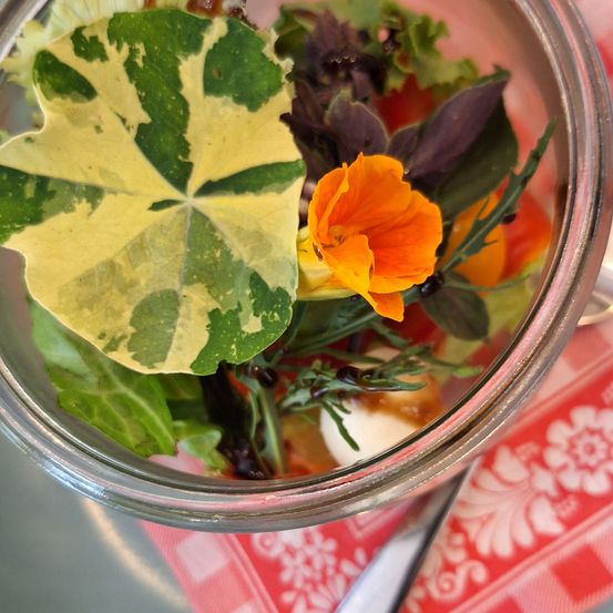 Ein Glasgefäß gefüllt mit einem Salat aus grünem Blattwerk, einem gelben und grünen Blatt, einer orangefarbenen Blume und einer Tomatenscheibe auf einer rot-weißen Tischdecke.