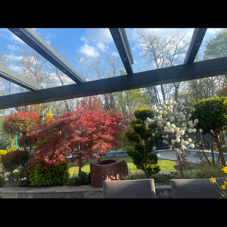 Ein Blick aus einem überdachten Außenbereich zeigt verschiedene Bäume, einschließlich eines roten, weißer Blumen und eines Rasenfeldes. Stühle stehen im Vordergrund.