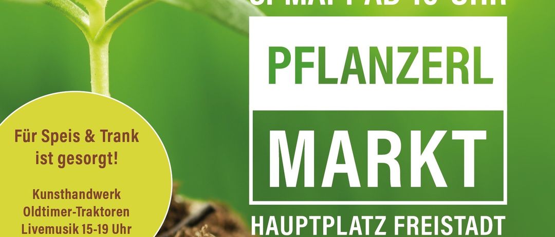 Plakat für einen Pflanzenmarkt am 8. Mai ab 10 Uhr mit einem grünen Sämling. Bietet Live-Musik, Kunsthandwerk und Essen. Stände von Marlene List, Gabry Daxberger und anderen.