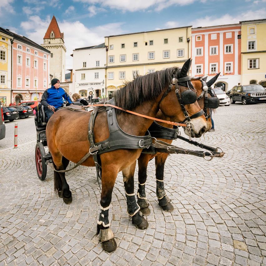 Bild enthält, Adult, Male, Man, Person, Horse, Vehicle, Wagon, Car, Hat, Horseback Riding
