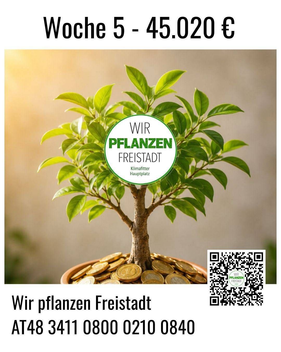 A potted tree with coins at its base and a green circle logo with the text 'WIR PFLANZEN FREISTADT'. The image also includes a QR code.