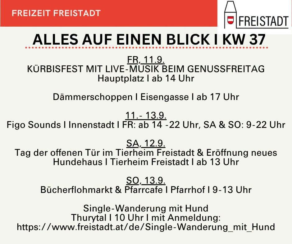 Plakat mit verschiedenen Veranstaltungen in Freistadt, einschließlich eines Kürbisfestes, Live-Musik und einer Hundewanderung. Daten und Zeiten sind aufgeführt.