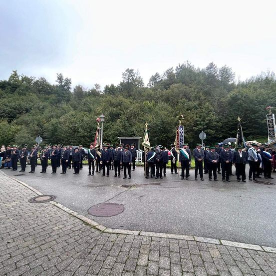 Eine Gruppe von Menschen in Uniformen mit Fahnen steht in einer Formation auf einer Straße. Dahinter befinden sich Bäume und ein bewölkter Himmel.