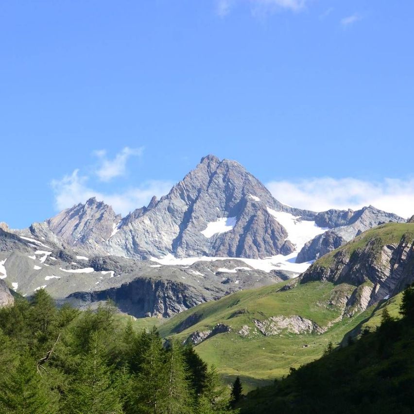 v1_migrated_image_9038280