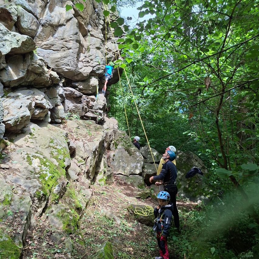 Mehrere Personen klettern in einem bewaldeten Gebiet. Ein Kletterer ist am Aufstieg, während andere am Boden sind. Helme und Seile sind sichtbar.