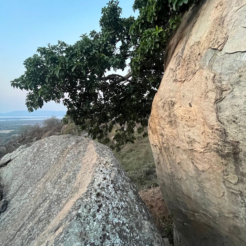 Bild enthält, Rock, Horizon, Nature, Outdoors, Sky, Cliff, Plant, Vegetation, Scenery, Tree