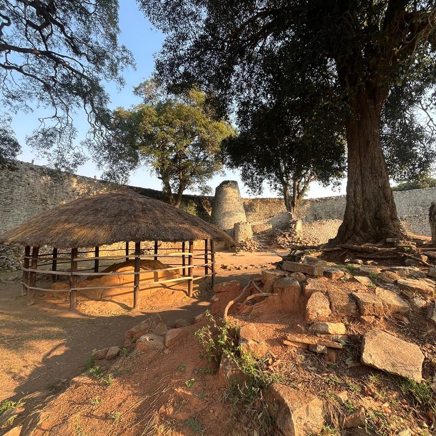 Bild enthält, Plant, Tree, Tree Trunk, Ground, Outdoors, Nature