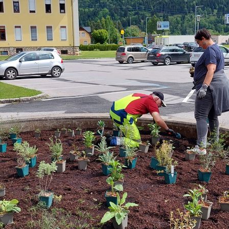 Bild enthält, Garden, Nature, Outdoors, Gardening, Gardener, Person, Glove, Plant, Adult, Man