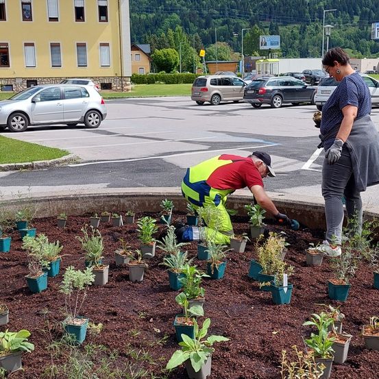Bild enthält, Garden, Nature, Outdoors, Gardening, Gardener, Person, Glove, Plant, Adult, Man