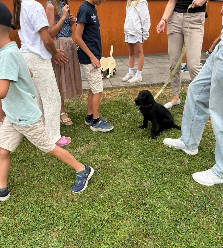 Eine Gruppe von Kindern und Erwachsenen steht auf Gras und sieht sich einen schwarzen Welpen an einer Leine an. Sie tragen Freizeitkleidung und Turnschuhe.