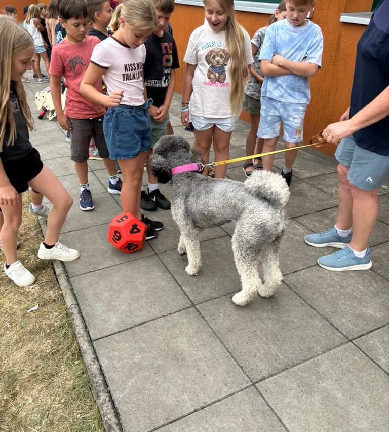 Eine Gruppe von Kindern und einer Person stehen um einen Hund, der einen Würfel hält. Der Hund ist grau mit einem rosa Halsband und der Würfel hat rote Zahlen.
