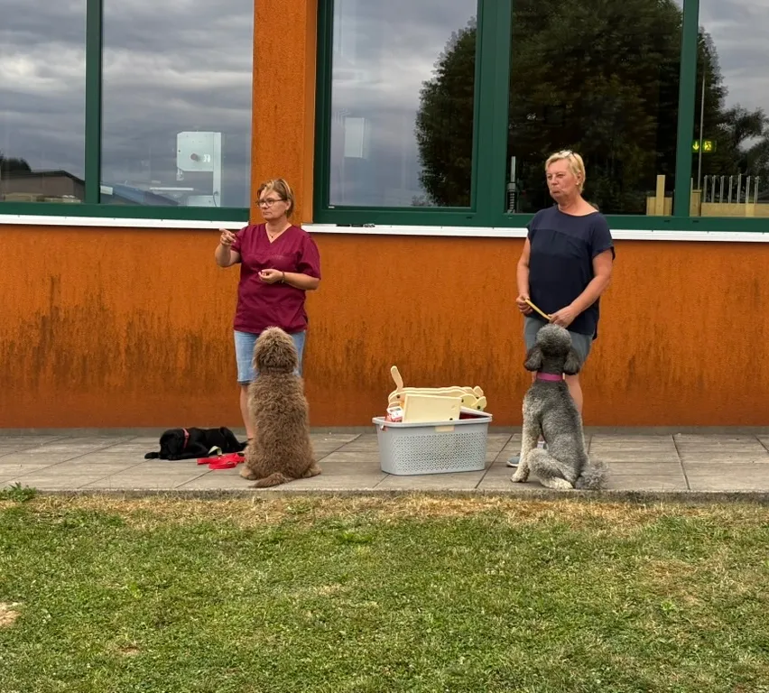 Zwei Frauen und zwei Hunde stehen vor einem Gebäude mit großen Fenstern. Ein Hund sitzt und der andere steht, während eine Frau mit der Hand gestikuliert.