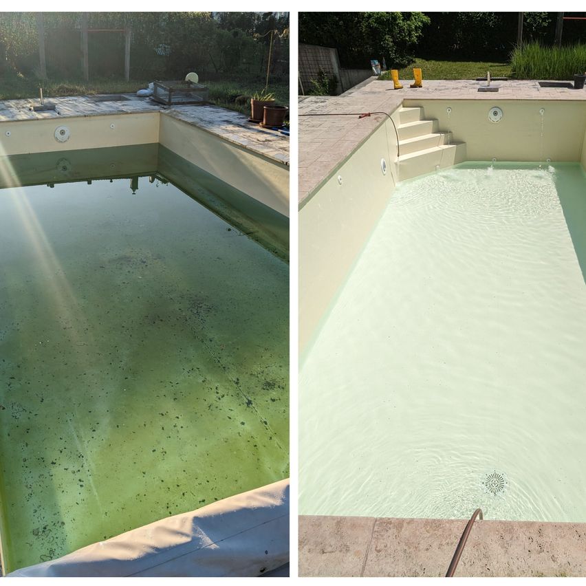 Zwei Bilder eines Pools, eines mit grünem trübem Wasser und das andere mit sauberem Wasser.