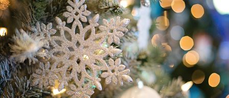 Bild enthält, Plant, Christmas, Christmas Decorations, Festival, Christmas Tree, Balloon, Tree, Accessories, Outdoors, Nature