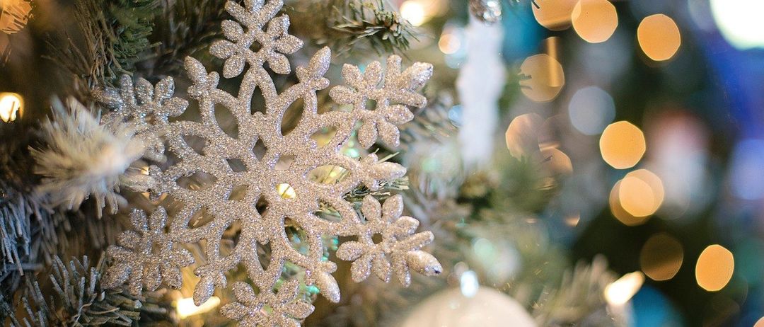 Bild enthält, Plant, Christmas, Christmas Decorations, Festival, Christmas Tree, Balloon, Tree, Accessories, Outdoors, Nature