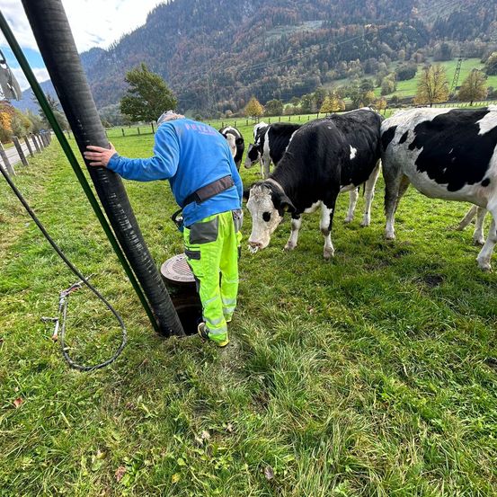 Ein Mann lehnt sich an eine große Rohrleitung, möglicherweise repariert er sie, in der Nähe eines Feldes mit Kühen. Dahinter befindet sich eine Berglandschaft.