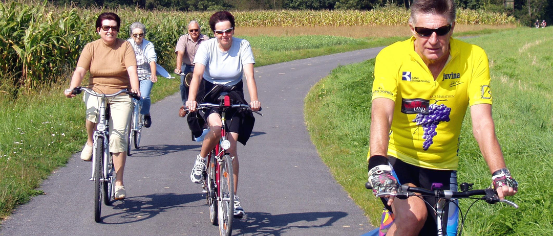 Fünf Menschen fahren auf einem Weg, der von einem Maisfeld umgeben ist. Der Weg wird von Bäumen und Grün beschattet.