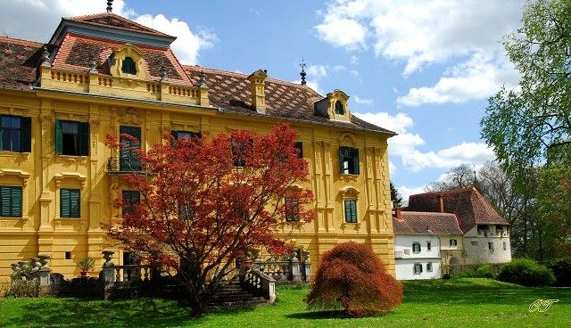 Ein gelbes Barockschloss mit braunem Dach steht in einem Park. Es hat mehrere Fenster und einen Baum mit roten Blättern davor.