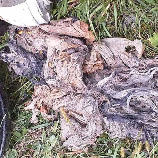 Ein verkohlter Haufen von Trümmern liegt auf einer Grasfläche, mit einigen gelblichen Objekten, die darauf verstreut sind. Ein weißes Objekt ist teilweise auf der linken Seite sichtbar.