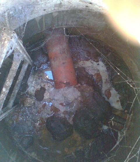 Ein mit Wasser gefüllter Abfluss, gefüllt mit Ablagerungen, mit einem rostigen Rohr und Spinnenweben sichtbar.