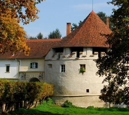 Ein altes weißes Schloss mit einem braunen Dach und Schornsteinen, umgeben von grünem Gras und Bäumen.
