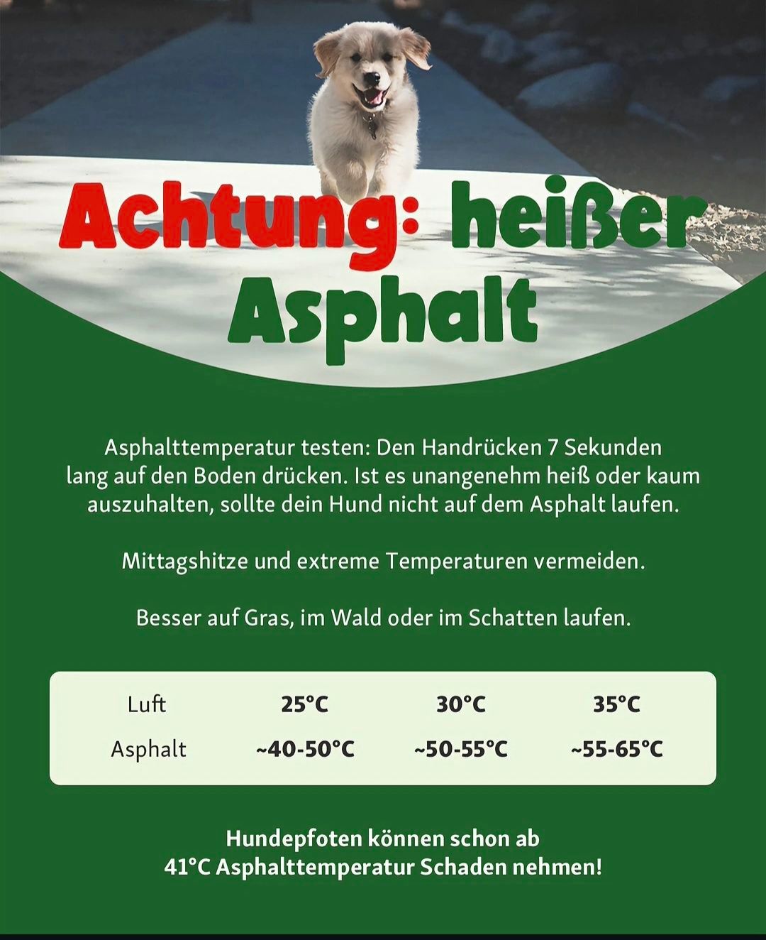 Prüfen Sie die Asphalttemperatur, bevor Sie mit dem Hund spazieren gehen. Halten Sie die Hand 7 Sekunden lang auf den Asphalt. Wenn es zu heiß oder zu kalt ist, gehen Sie mit dem Hund auf Gras oder im Schatten. Vermeiden Sie Mittagshitze und extreme Temperaturen. Hundepfoten können bei bestimmten Temperaturen beschädigt werden.