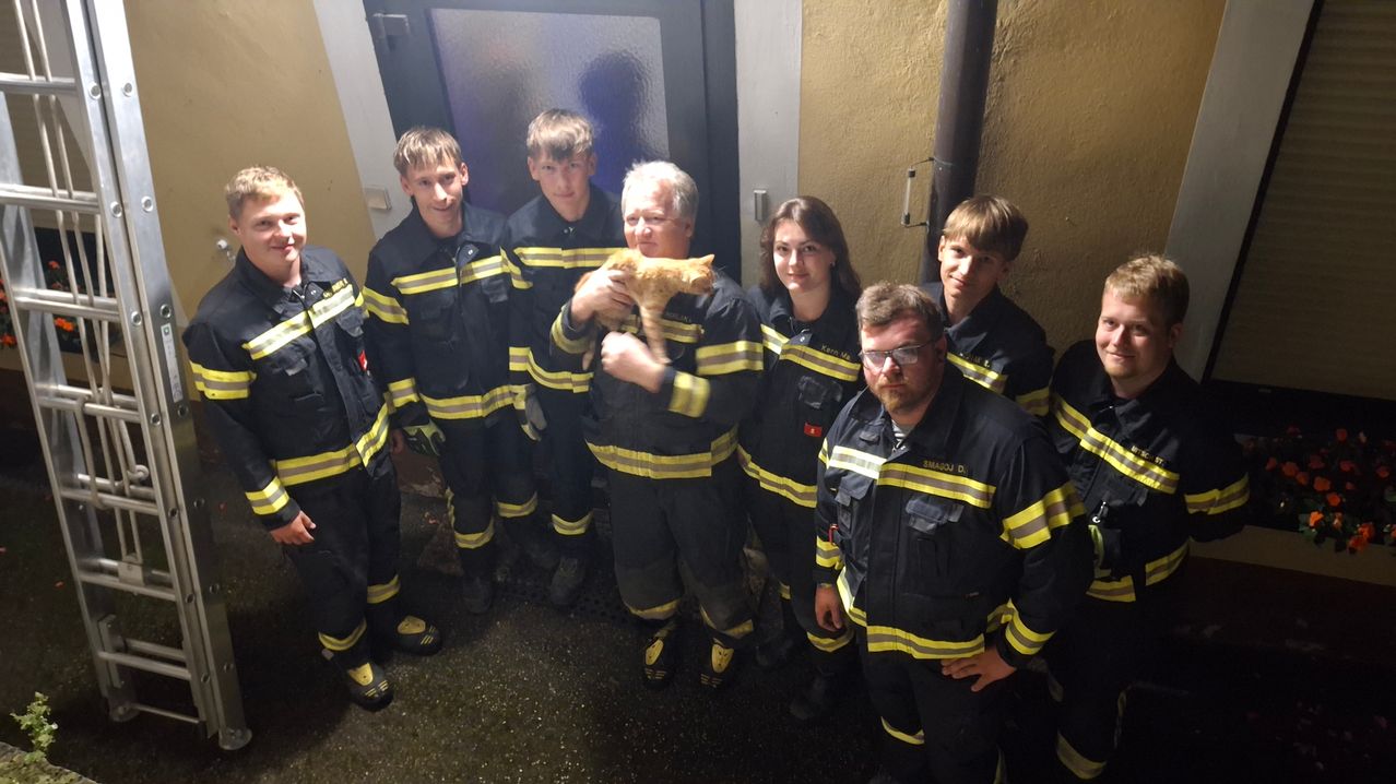 A group of firefighters, both male and female, are posing for a photo with a rescued cat. The firefighters are wearing their uniforms, and one of them is holding the cat.