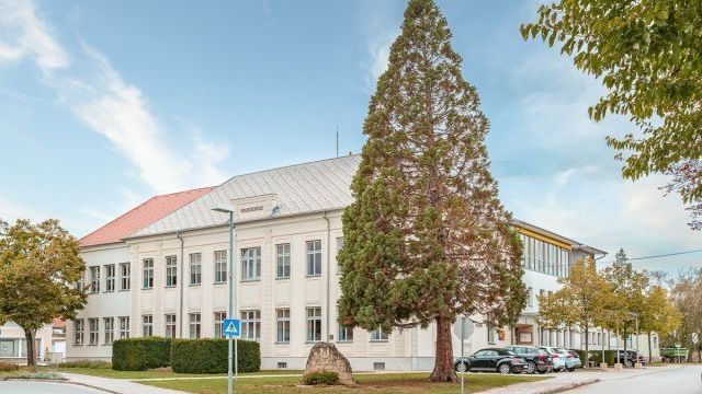 v1_migrated_image_80867927