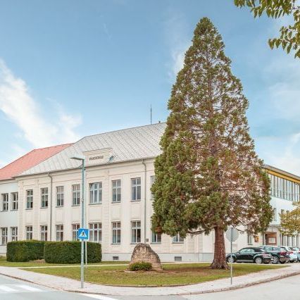 v1_migrated_image_25094335