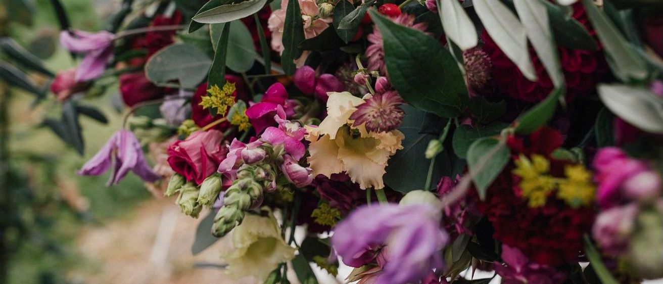 Bild enthält, Flower, Petal, Flower Arrangement, Flower Bouquet, Leaf, Herbal, Dahlia, Purple, Vegetation, Rose