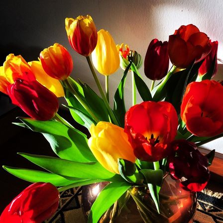 Bild enthält, Flower, Flower Arrangement, Plant, Flower Bouquet, Petal, Rose, Tulip