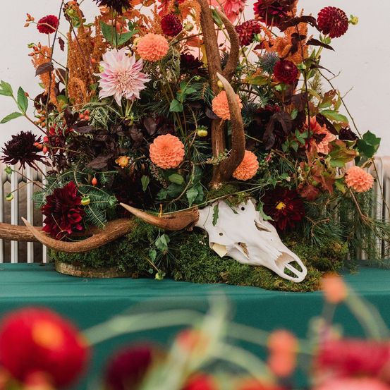 Bild enthält, Flower, Flower Arrangement, Plant, Flower Bouquet, Ikebana, Dahlia, Antler
