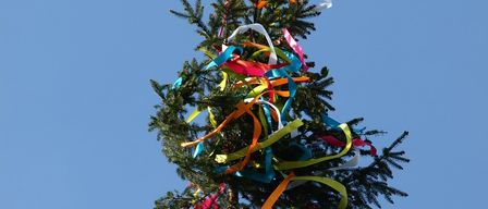 Bild enthält, Plant, Tree, Christmas, Christmas Decorations, Festival