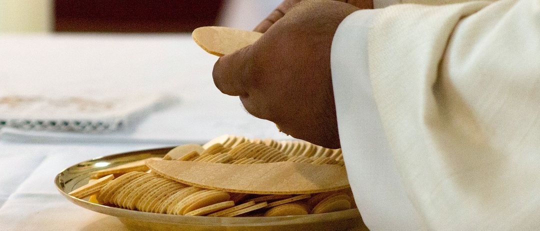 Bild enthält, Food, Food Presentation, Bread, Baby, Person, Plate