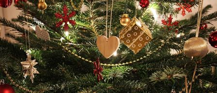 Bild enthält, Christmas, Christmas Decorations, Festival, Christmas Tree, Christmas Tree Ornaments, Lamp, Plant, Fungus